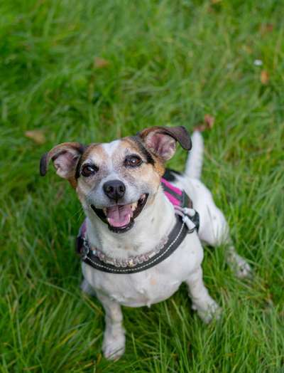 150. Foto Challaenge:  Die Augen, der Spiegel der Seele-Beitrag-Bild