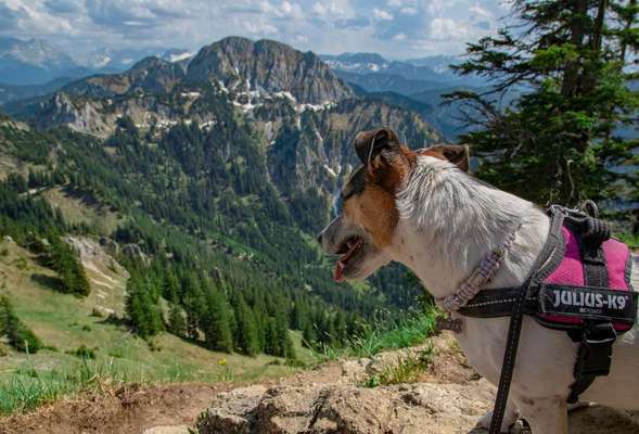 13. Farben-Fotochallenge "Grau"-Beitrag-Bild