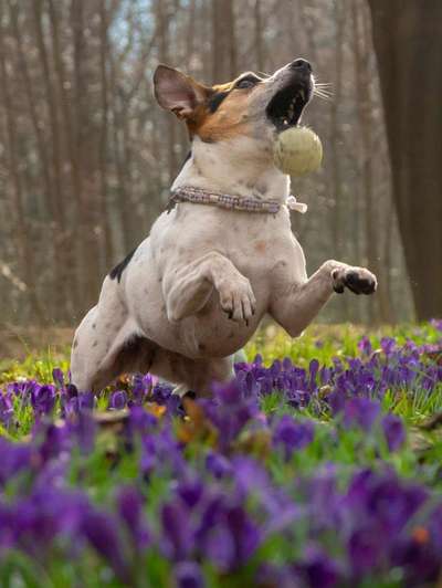 138. Fotochallenge 

(M)Ein Ball und ich-Beitrag-Bild