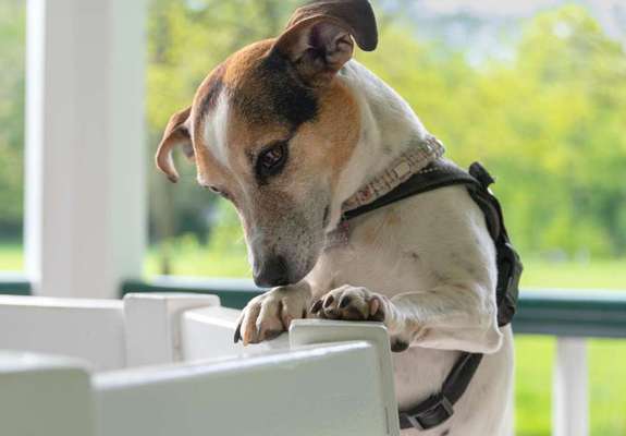 14. Farbenfoto-Challenge "Weiss"-Beitrag-Bild