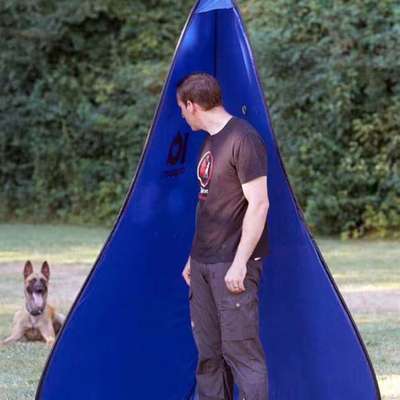 Unsicherer Hund-Beitrag-Bild