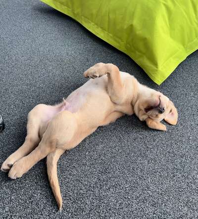 Fotochallenge Nr.65-Beitrag-Bild