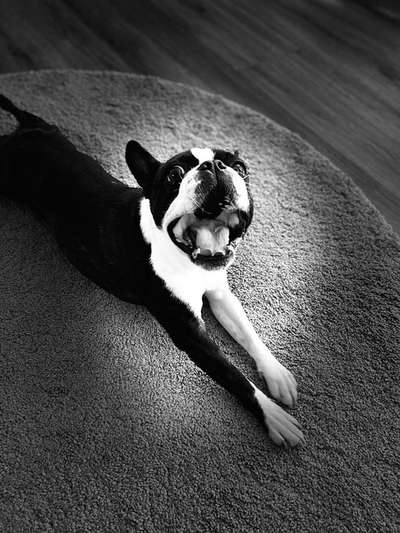 Fotochallange Nr. 6 Die irrsten Blicke-Beitrag-Bild