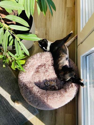 Erfahrung mit Wolkenbett-Beitrag-Bild