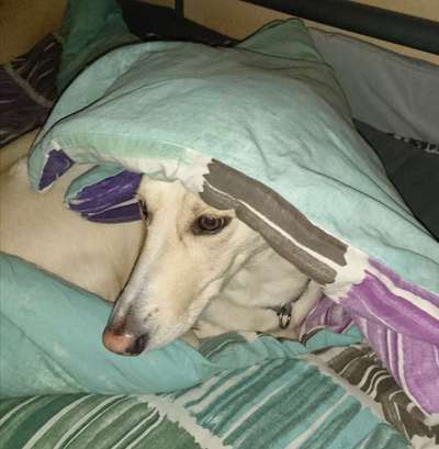 Moviestar-Pics!-Beitrag-Bild