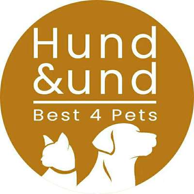 Hundeshops-Hund & und-Bild