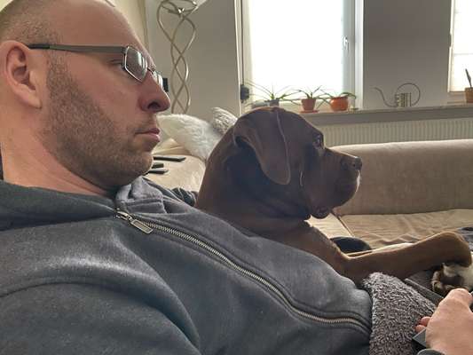 👀 Doppelgänger-Alarm: Siehst du deinem Hund ähnlich? Oder teilt ihr denselben Charakter? 🐾-Beitrag-Bild