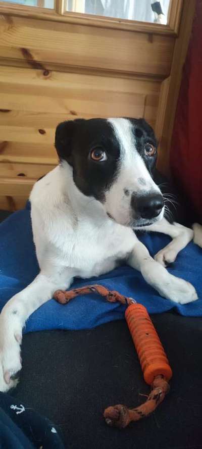 Augen gerötet und leicht gelblicher Schleim-Beitrag-Bild