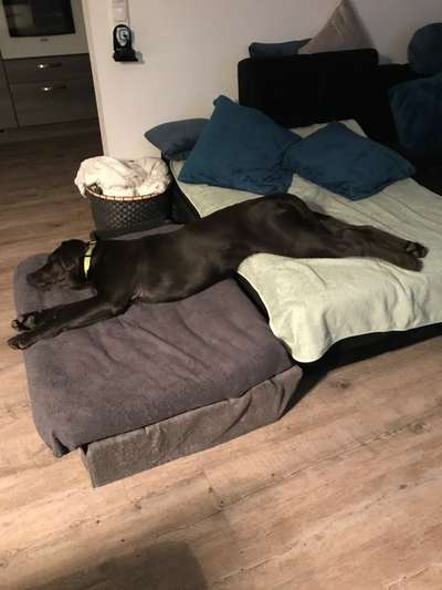 Challenge Nr 14
Eure Fellnasen auf ihrem Lieblingsplatz-Beitrag-Bild