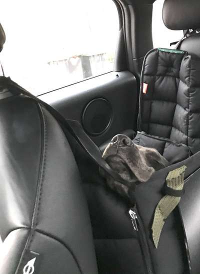 Die unbequemsten und lustigsten Schlafpositionen-Beitrag-Bild