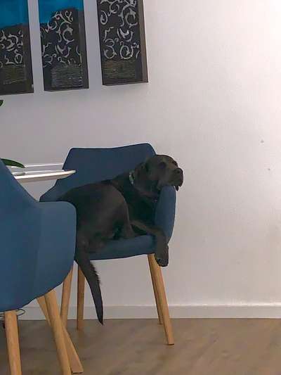 Die unbequemsten und lustigsten Schlafpositionen-Beitrag-Bild