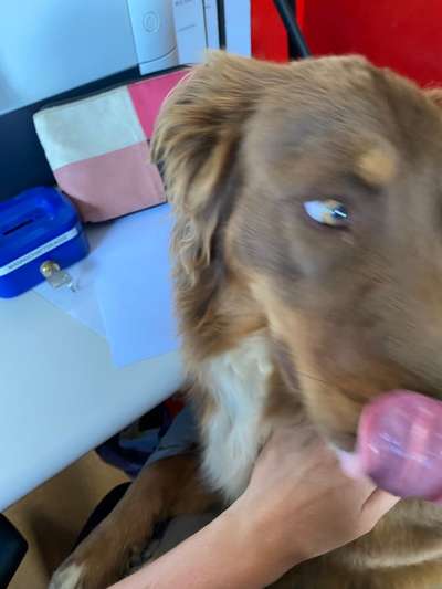 Fotochallange 84-Beitrag-Bild