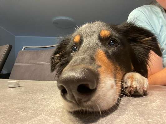 Fotochallange 84-Beitrag-Bild