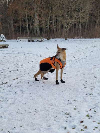 21. Farben / Foto Challenge - Neon / Leuchtfarben-Beitrag-Bild