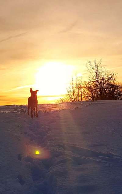 18. Farben Fotochallenge: Sonnenuntergang-Beitrag-Bild