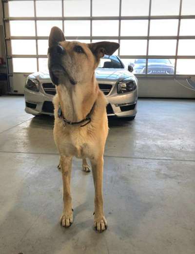 29. Farben Foto Challenge -
Silber glänzend.-Beitrag-Bild