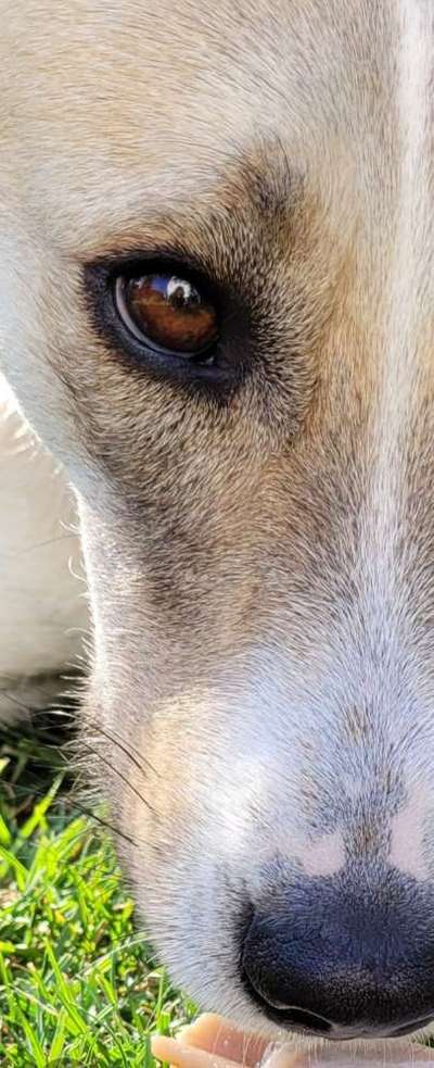 150. Foto Challaenge:  Die Augen, der Spiegel der Seele-Beitrag-Bild