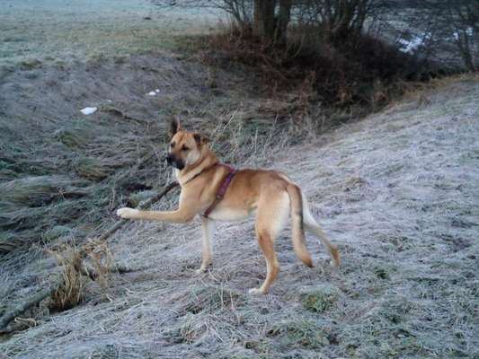 149. Foto Challenge: Wer ist hier der Boss!-Beitrag-Bild