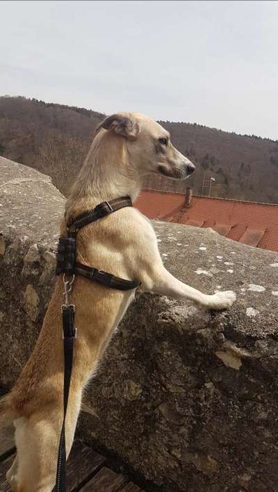 64. Handy Foto Challenge - Hoch hinaus-Beitrag-Bild