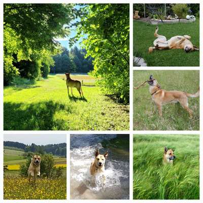 Zeigt eure schönsten Sommerbilder-Beitrag-Bild