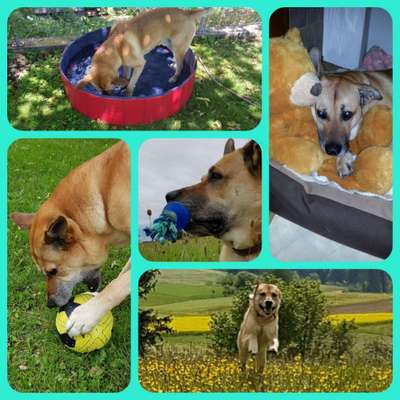 48. Collagen Challenge: Das Leben ist bunt-Beitrag-Bild