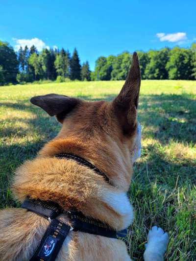 140. Foto Challenge - schattiges Plätzchen-Beitrag-Bild