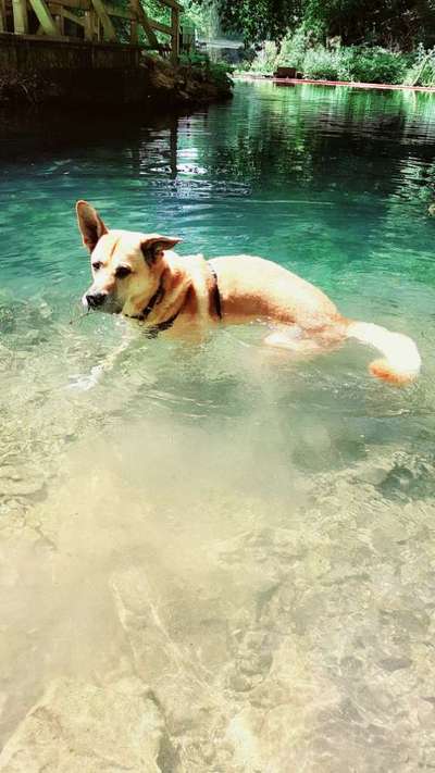 23. Farben / Fotochallenge - Türkis --Beitrag-Bild