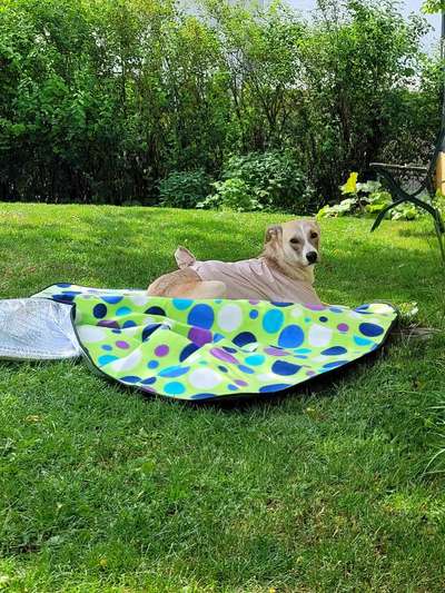 21. Farben / Foto Challenge - Neon / Leuchtfarben-Beitrag-Bild