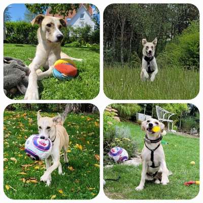 Zeigt eure schönsten Sommerbilder-Beitrag-Bild