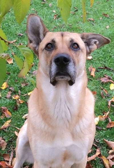 147. Foto Challenge: Bettelblick-Beitrag-Bild