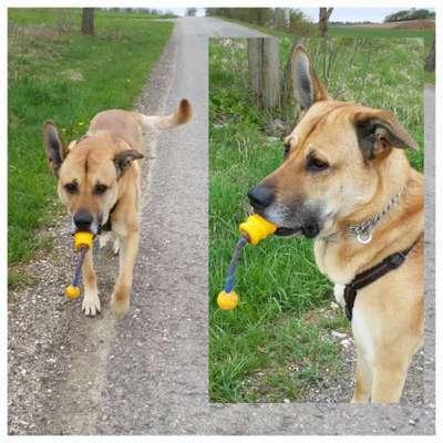 Zeige deinen Schatz mit seinem Lieblingsspielzeug.-Beitrag-Bild