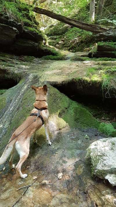 64. Handy Foto Challenge - Hoch hinaus-Beitrag-Bild