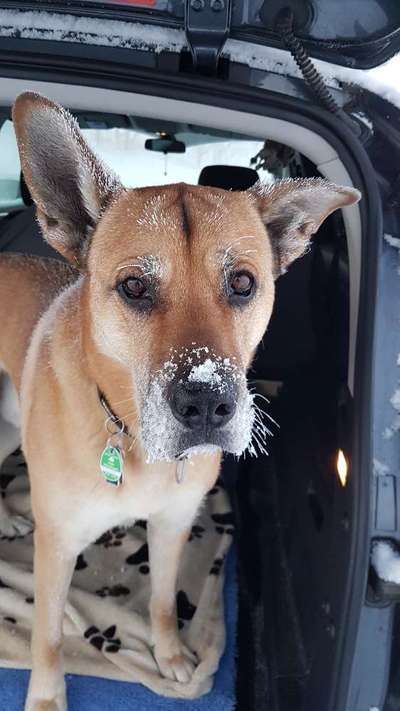 141. FOTO CHALLENGE 
Reisende soll man nicht aufhalten-Beitrag-Bild