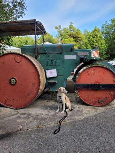 56. Handy Foto Challenge - Grosse Maschinen-Beitrag-Bild