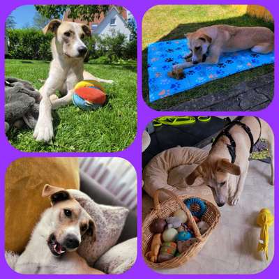 48. Collagen Challenge: Das Leben ist bunt-Beitrag-Bild