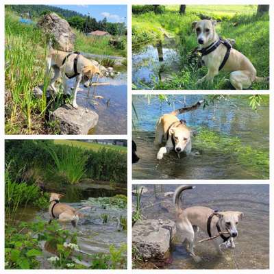 Eure schönsten Fotos mit Wasser-Beitrag-Bild