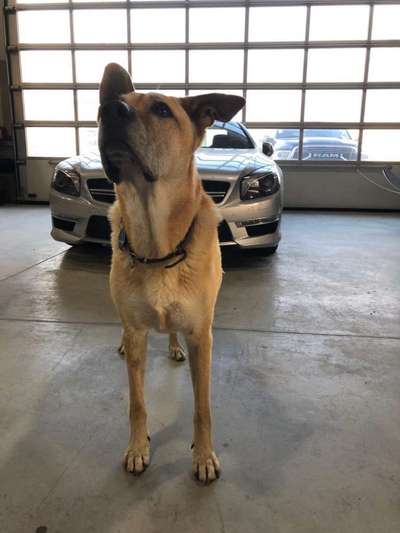 56. Handy Foto Challenge - Grosse Maschinen-Beitrag-Bild