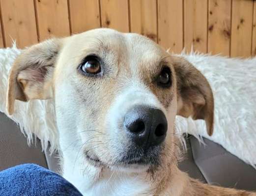 147. Foto Challenge: Bettelblick-Beitrag-Bild