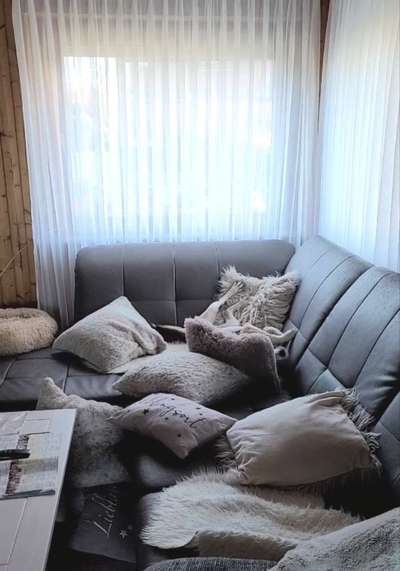 Dogorama Photo Challenge - Versteckspiel-Beitrag-Bild