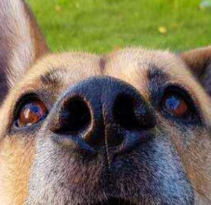 150. Foto Challaenge:  Die Augen, der Spiegel der Seele-Beitrag-Bild