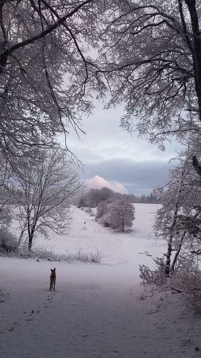 17. Farben Foto Challenge: Pastellfarben-Beitrag-Bild