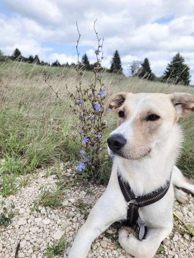 26. Farben Fotochallenge "Herbstfarben"-Beitrag-Bild