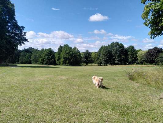 Dogorama Photo Challenge - schönster Gassiausblick-Beitrag-Bild