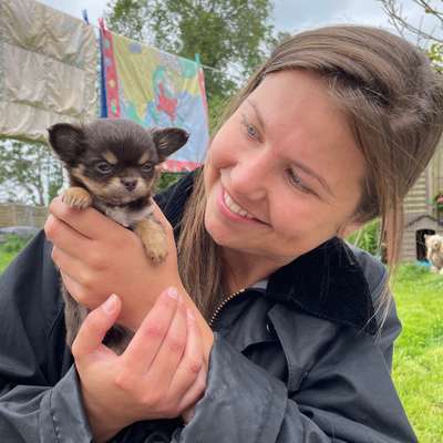 Hundetreffen-Mini Welpentreff in Mönchengladbach-Profilbild