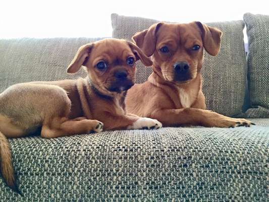 Foto Challenge 3-Beitrag-Bild