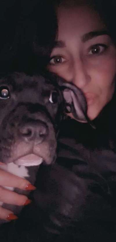 "Bulligere Arten" auch hier? :) Amstaff etc..-Beitrag-Bild