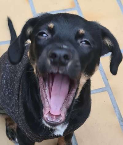 Fotochallange Nr. 57     PORTRÄT.   Beendet!!!!!!!!-Beitrag-Bild