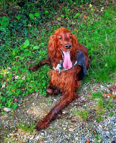 Handyfoto challenge Nr. 13: Waschlappen raus!-Beitrag-Bild