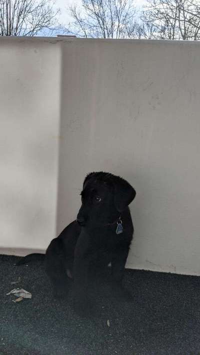 Balkon Schutz-Beitrag-Bild