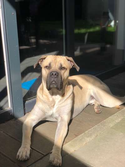 Fotochallange Nr. 57     PORTRÄT.   Beendet!!!!!!!!-Beitrag-Bild